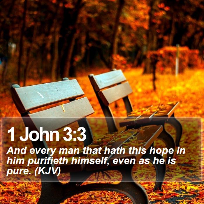 1 John 3:3 - And every man that hath this hope in him purifieth himself, even as he is pure. (KJV)
