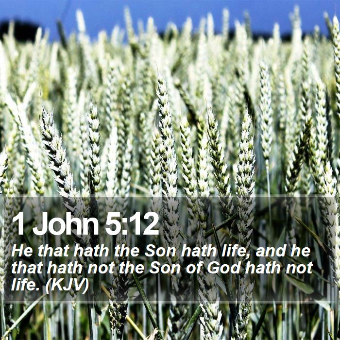 1 John 5:12 - He that hath the Son hath life, and he that hath not the Son of God hath not life. (KJV)
