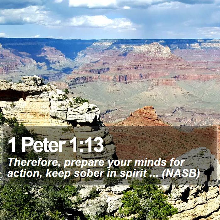 1 Peter 1:13 - Therefore, prepare your minds for action, keep sober in spirit ... (NASB)
