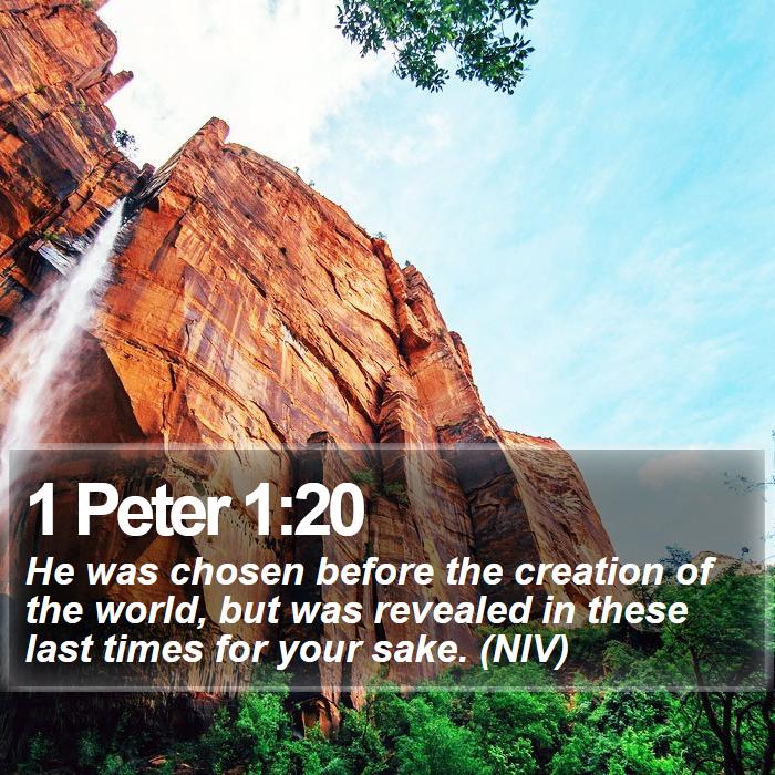 1 Peter 1:20 - He was chosen before the creation of the world, but was revealed in these last times for your sake. (NIV)
