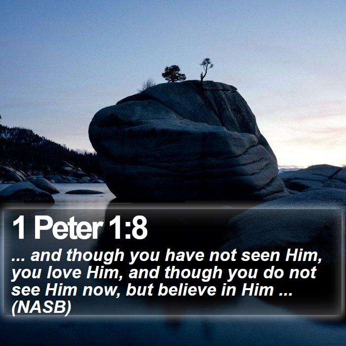 1 Peter 1:8 - ... and though you have not seen Him, you love Him, and though you do not see Him now, but believe in Him ... (NASB)
