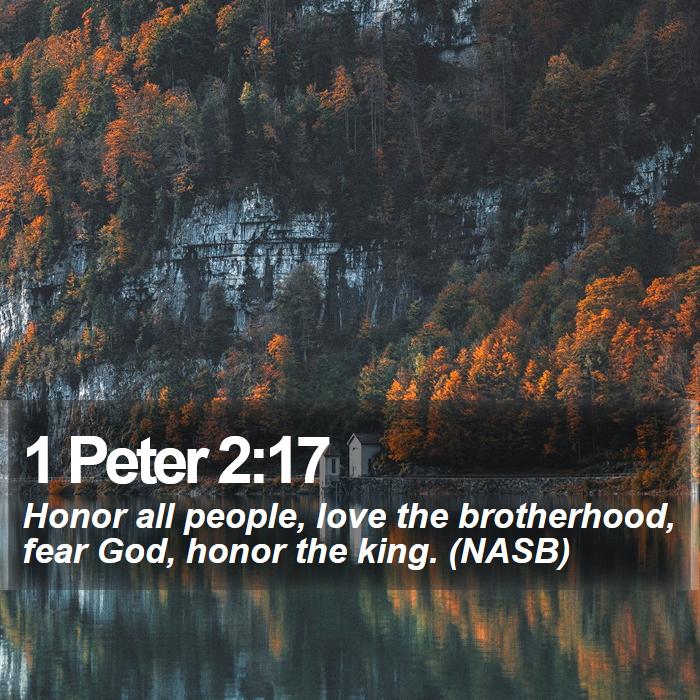 1 Peter 2:17 - Honor all people, love the brotherhood, fear God, honor the king. (NASB)
