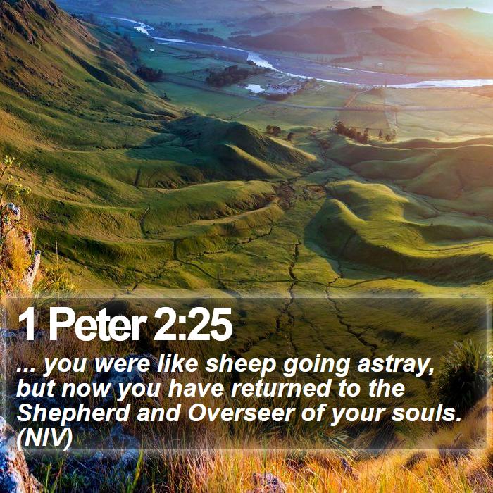 1 Peter 2:25 - ... you were like sheep going astray, but now you have returned to the Shepherd and Overseer of your souls. (NIV)
