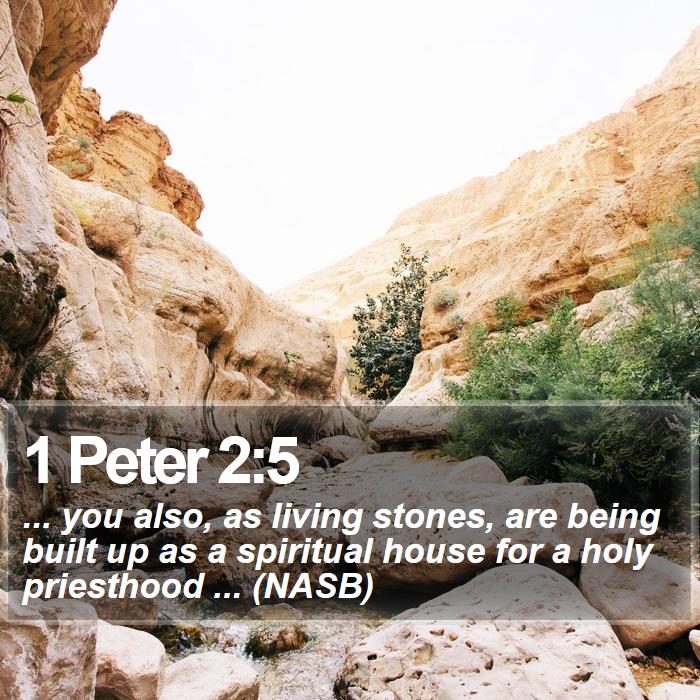 1 Peter 2:5 - ... you also, as living stones, are being built up as a spiritual house for a holy priesthood ... (NASB)
