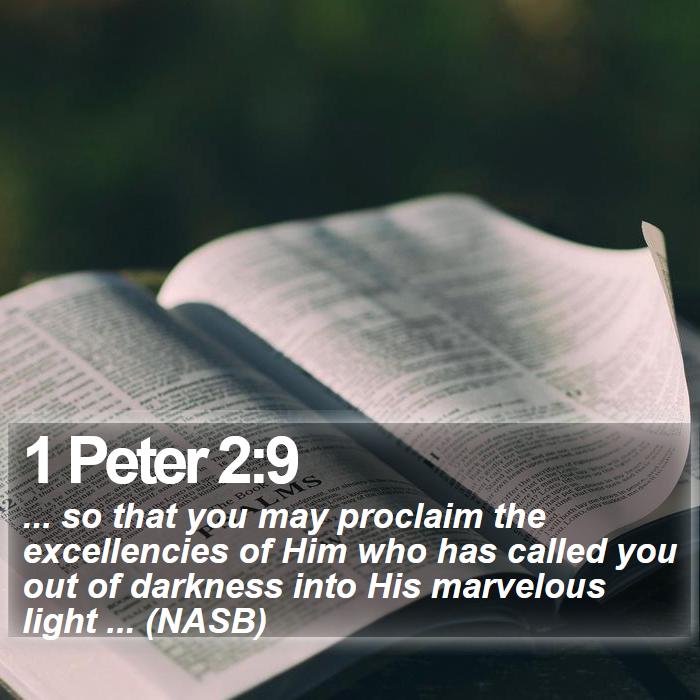 1 Peter 2:9 - ... so that you may proclaim the excellencies of Him who has called you out of darkness into His marvelous light ... (NASB)
