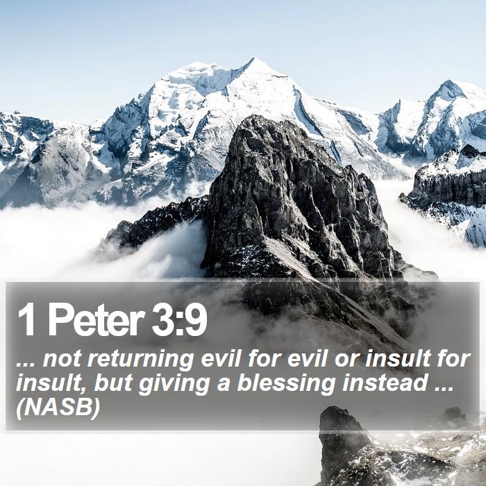 1 Peter 3:9 - ... not returning evil for evil or insult for insult, but giving a blessing instead ... (NASB)
