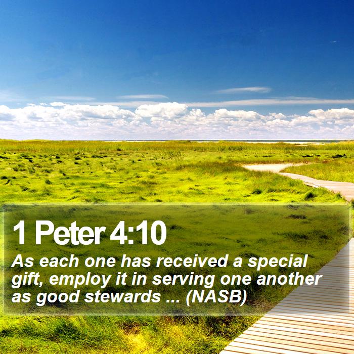 1 Peter 4:10 - As each one has received a special gift, employ it in serving one another as good stewards ... (NASB)
