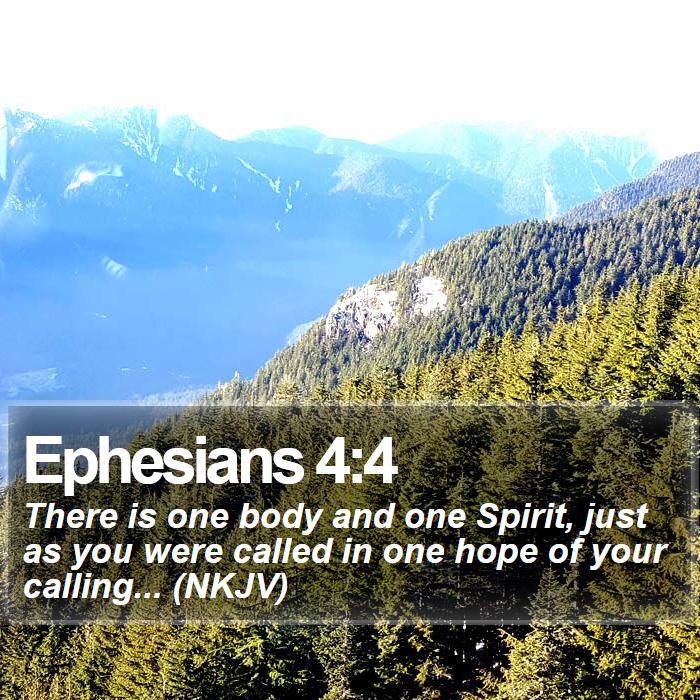 Ephesians 4:4 - There is one body and one Spirit, just as you were called in one hope of your calling... (NKJV)
