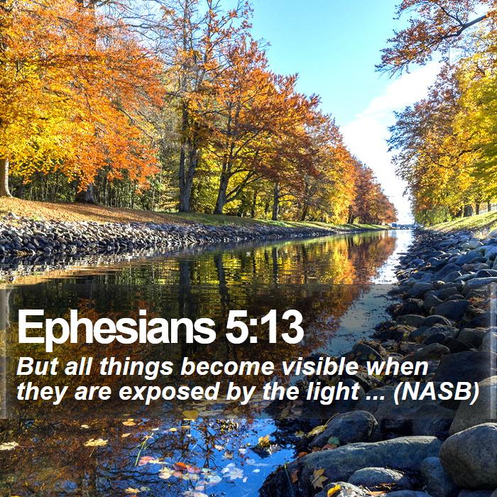 Ephesians 5:13 - But all things become visible when they are exposed by the light ... (NASB)
