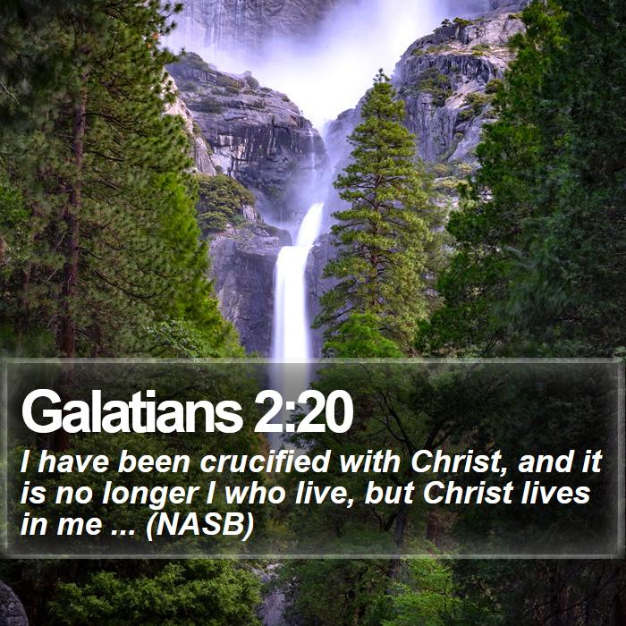 Galatians 2:20 - I have been crucified with Christ, and it is no longer I who live, but Christ lives in me ... (NASB)
