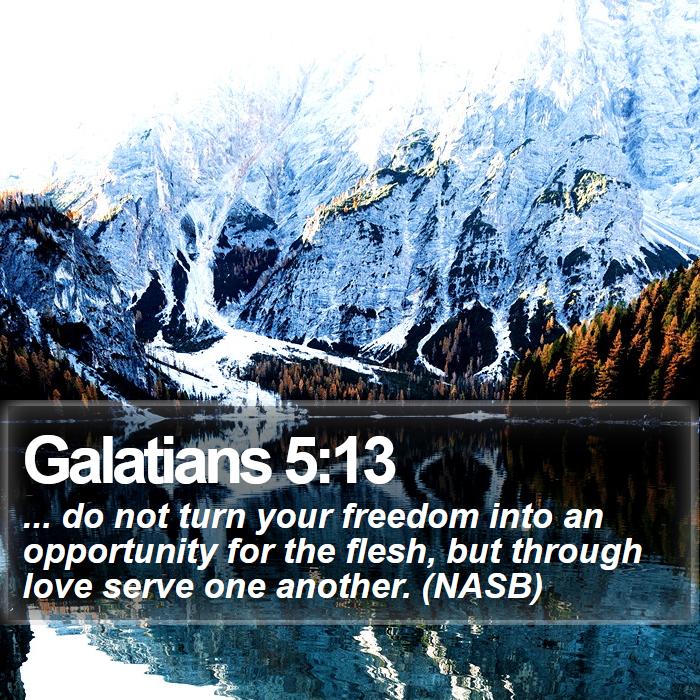Galatians 5:13 - ... do not turn your freedom into an opportunity for the flesh, but through love serve one another. (NASB)
