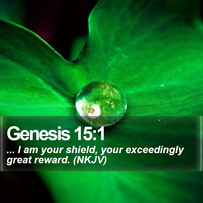 Genesis 15:1 - ... I am your shield, your exceedingly great reward. (NKJV)
