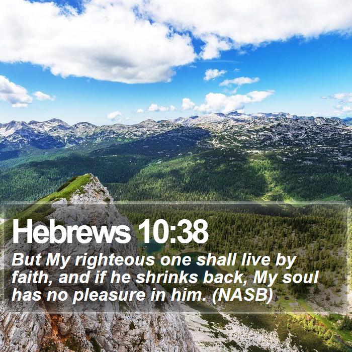 Hebrews 10:38 - But My righteous one shall live by faith, and if he shrinks back, My soul has no pleasure in him. (NASB)

