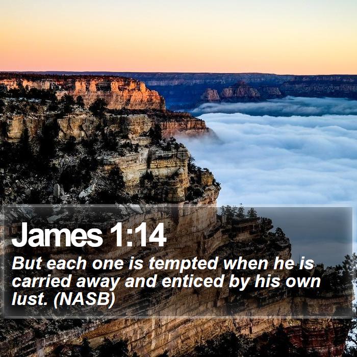 James 1:14 - But each one is tempted when he is carried away and enticed by his own lust. (NASB)

