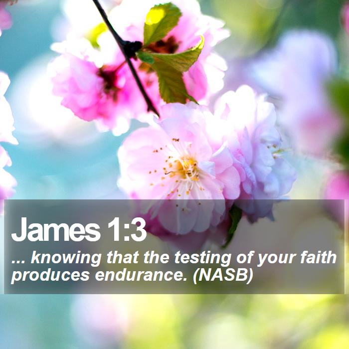 James 1:3 - ... knowing that the testing of your faith produces endurance. (NASB)
