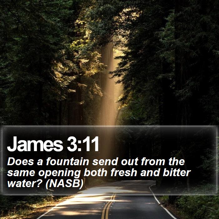 James 3:11 - Does a fountain send out from the same opening both fresh and bitter water? (NASB)
