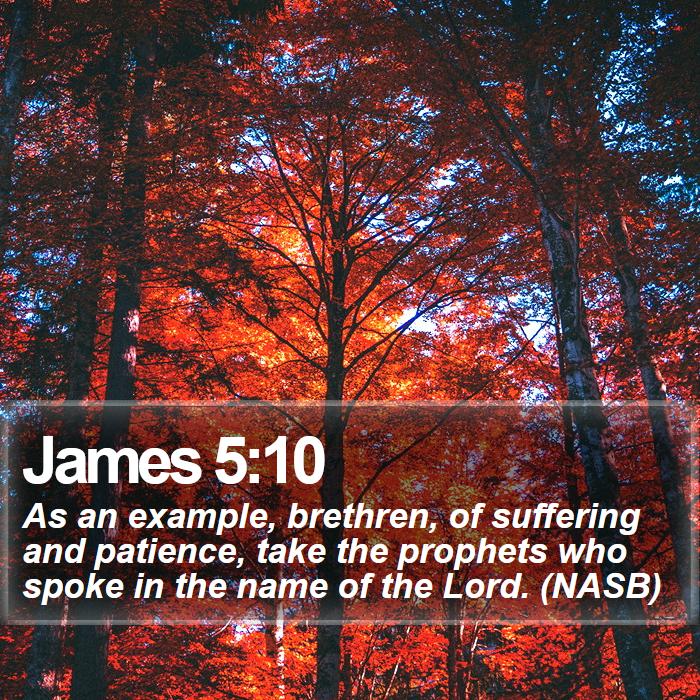 James 5:10 - As an example, brethren, of suffering and patience, take the prophets who spoke in the name of the Lord. (NASB)
