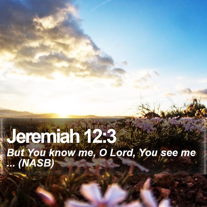 Jeremiah 12:3 - But You know me, O Lord, You see me ... (NASB)
