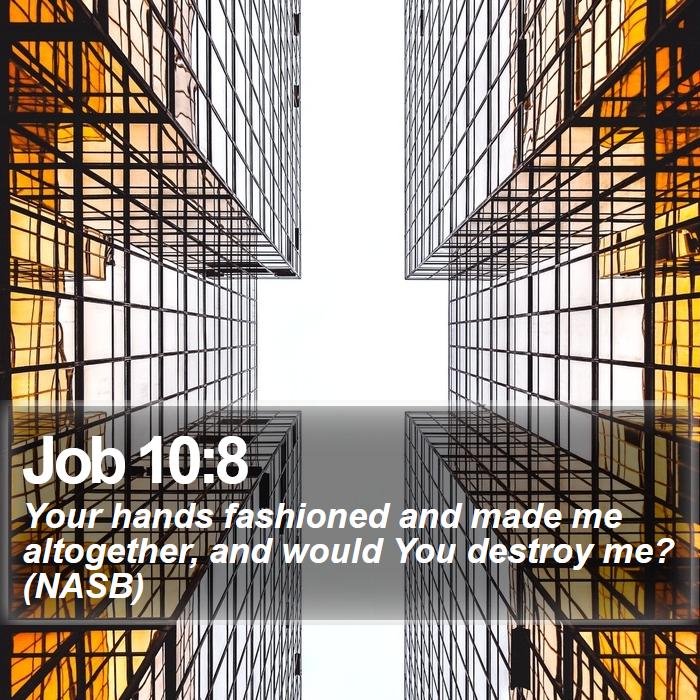 Job 10:8 - Your hands fashioned and made me altogether, and would You destroy me? (NASB)
