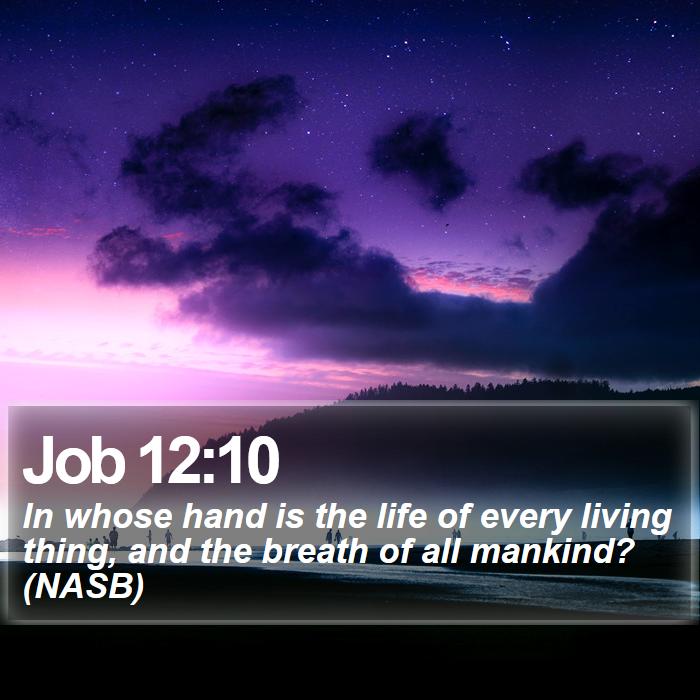 Job 12:10 - In whose hand is the life of every living thing, and the breath of all mankind? (NASB)

