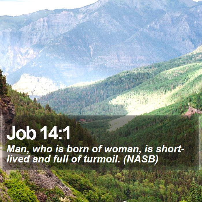 Job 14:1 - Man, who is born of woman, is short-lived and full of turmoil. (NASB)

