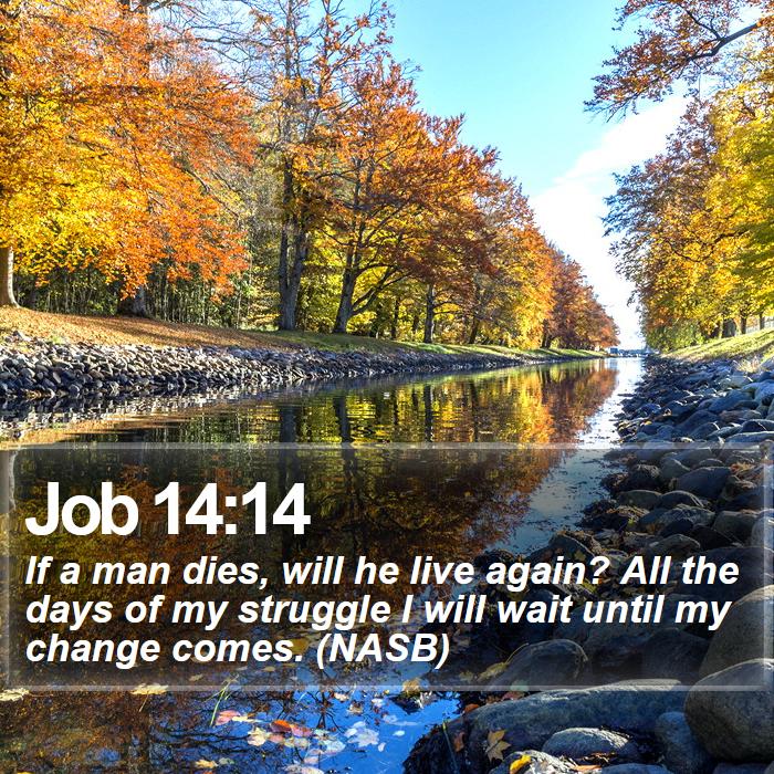 Job 14:14 - If a man dies, will he live again? All the days of my struggle I will wait until my change comes. (NASB)
