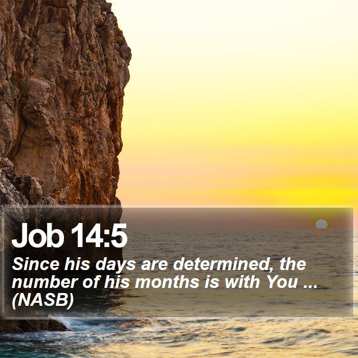 Job 14:5 - Since his days are determined, the number of his months is with You ... (NASB)

