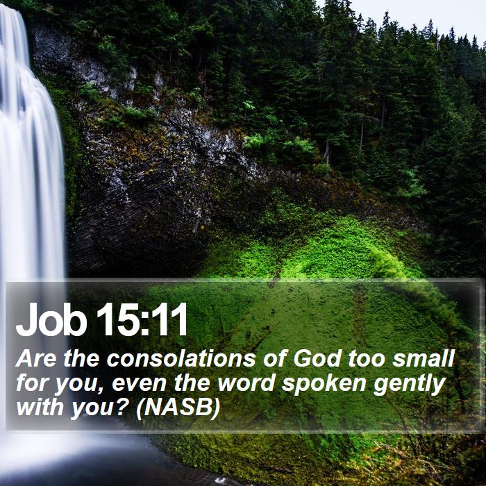 Job 15:11 - Are the consolations of God too small for you, even the word spoken gently with you? (NASB)
