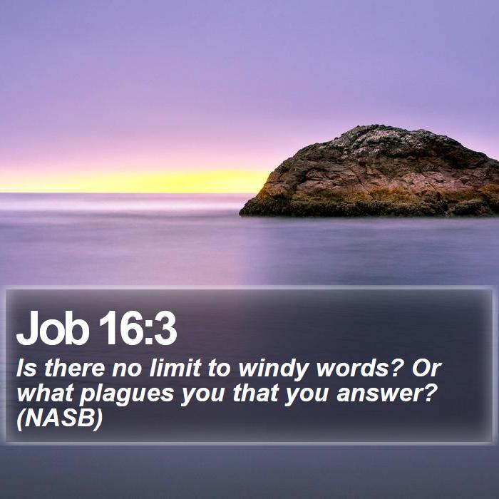 Job 16:3 - Is there no limit to windy words? Or what plagues you that you answer? (NASB)
