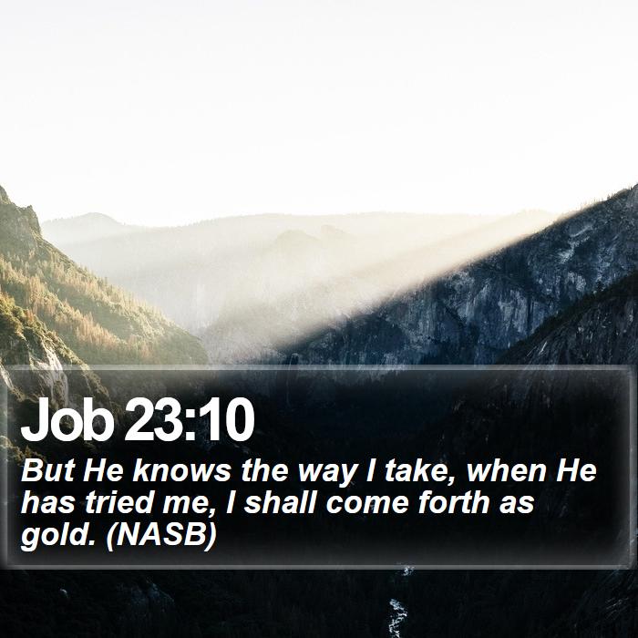 Job 23:10 - But He knows the way I take, when He has tried me, I shall come forth as gold. (NASB)
