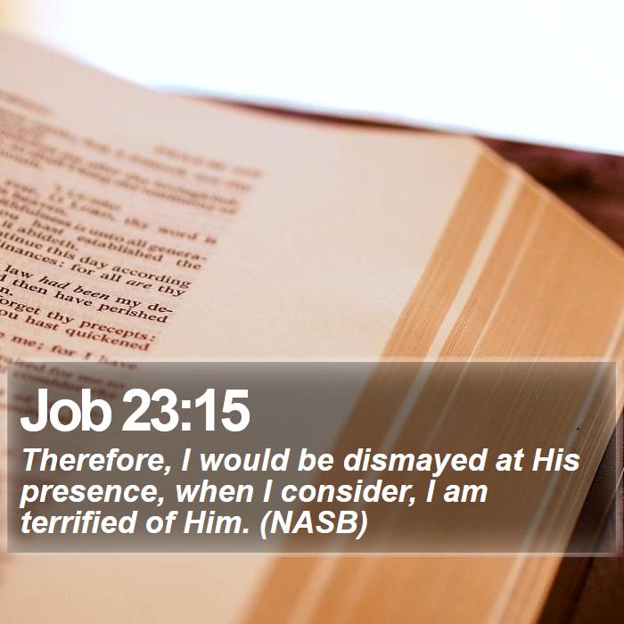 Job 23:15 - Therefore, I would be dismayed at His presence, when I consider, I am terrified of Him. (NASB)
