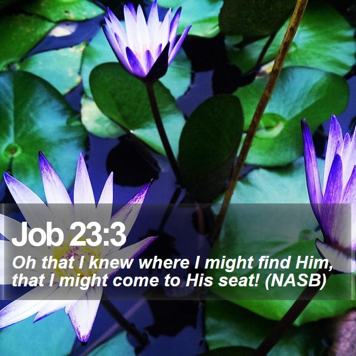 Job 23:3 - Oh that I knew where I might find Him, that I might come to His seat! (NASB)
