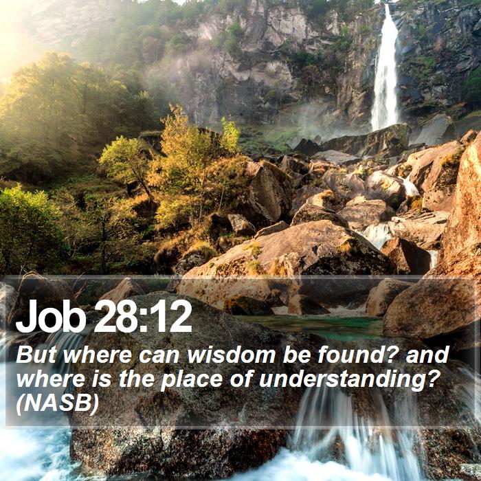 Job 28:12 - But where can wisdom be found? and where is the place of understanding? (NASB)
