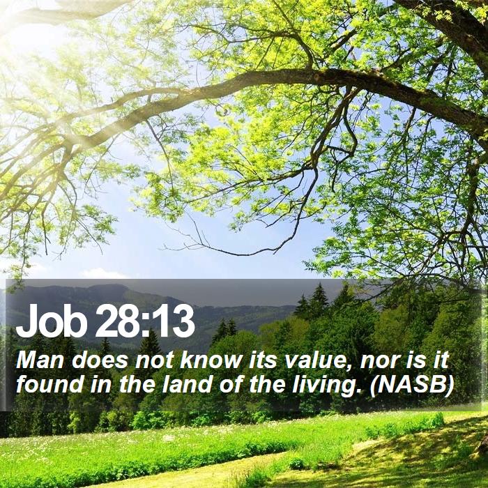 Job 28:13 - Man does not know its value, nor is it found in the land of the living. (NASB)
