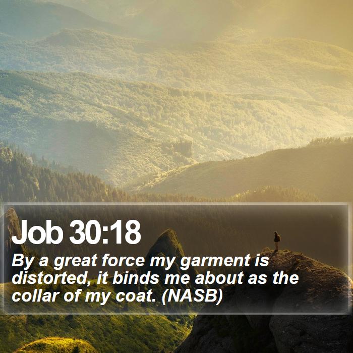 Job 30:18 - By a great force my garment is distorted, it binds me about as the collar of my coat. (NASB)
