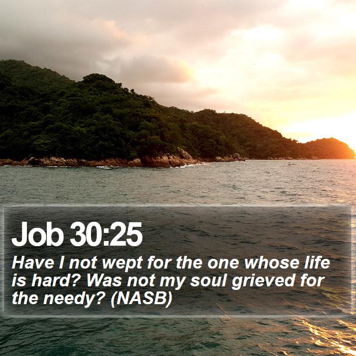 Job 30:25 - Have I not wept for the one whose life is hard? Was not my soul grieved for the needy? (NASB)
