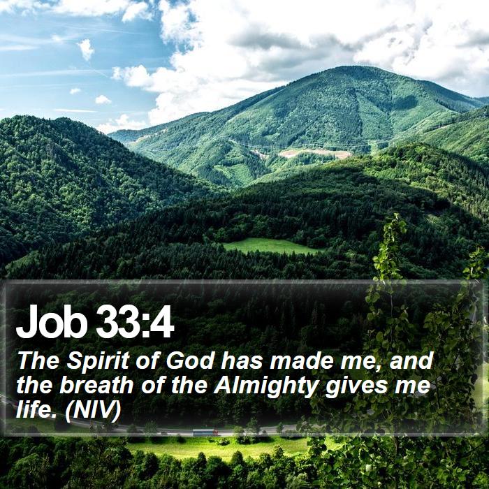 Job 33:4 - The Spirit of God has made me, and the breath of the Almighty gives me life. (NIV)
