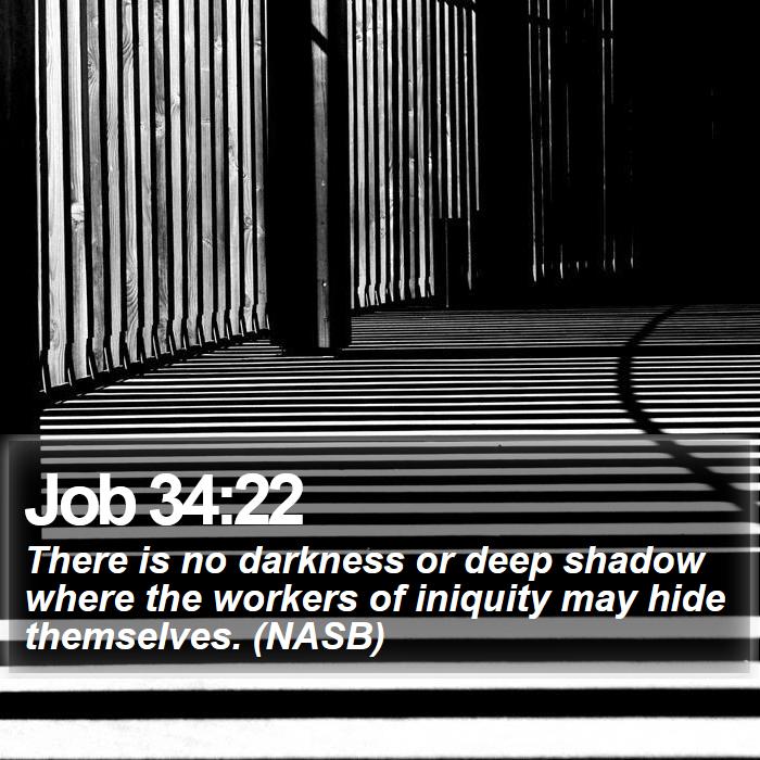 Job 34:22 - There is no darkness or deep shadow where the workers of iniquity may hide themselves. (NASB)

