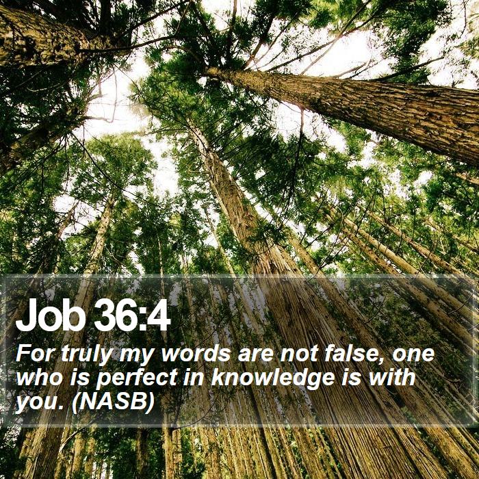 Job 36:4 - For truly my words are not false, one who is perfect in knowledge is with you. (NASB)
