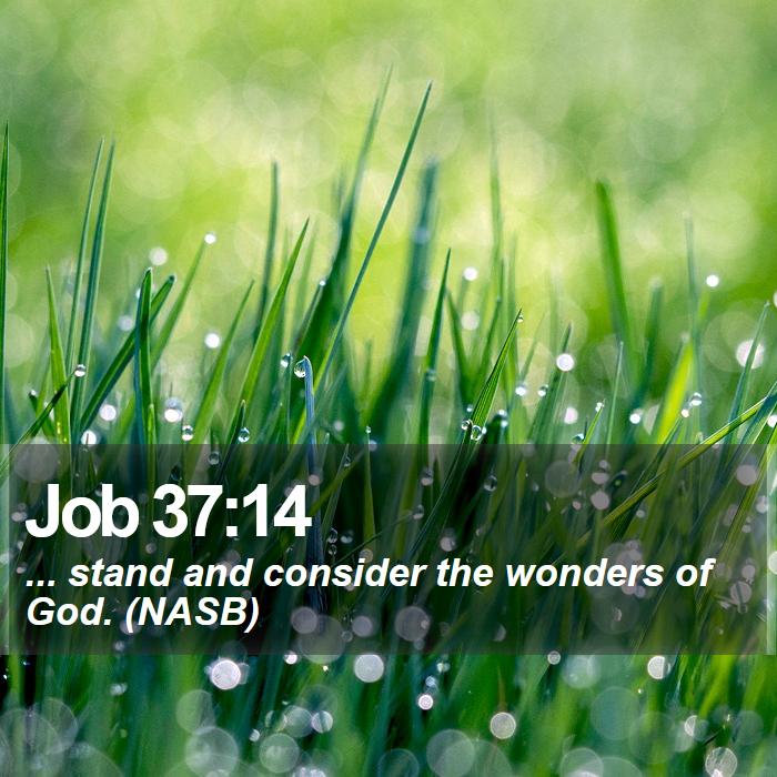 Job 37:14 - ... stand and consider the wonders of God. (NASB)
