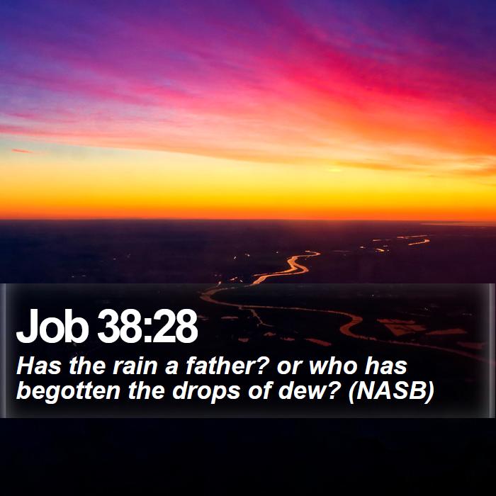 Job 38:28 - Has the rain a father? or who has begotten the drops of dew? (NASB)
