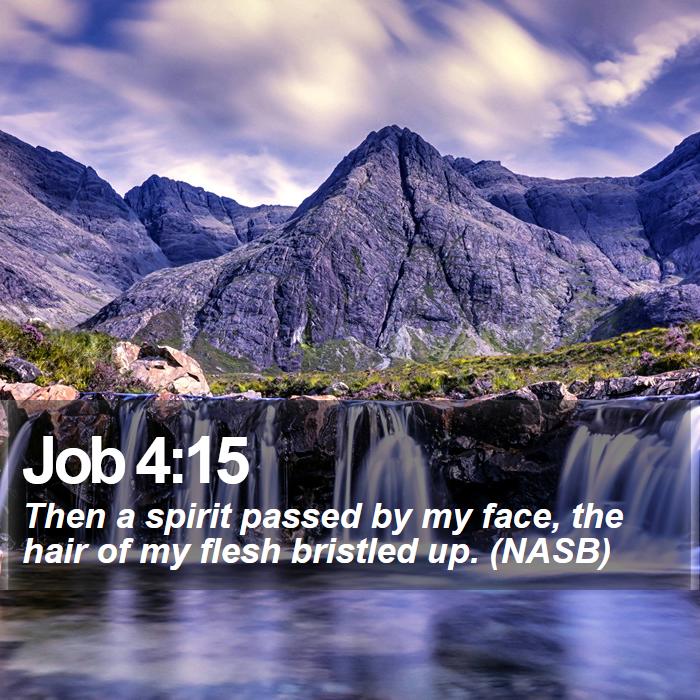 Job 4:15 - Then a spirit passed by my face, the hair of my flesh bristled up. (NASB)
