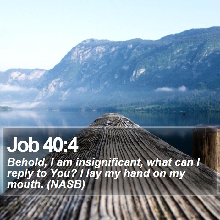 Job 40:4 - Behold, I am insignificant, what can I reply to You? I lay my hand on my mouth. (NASB)
