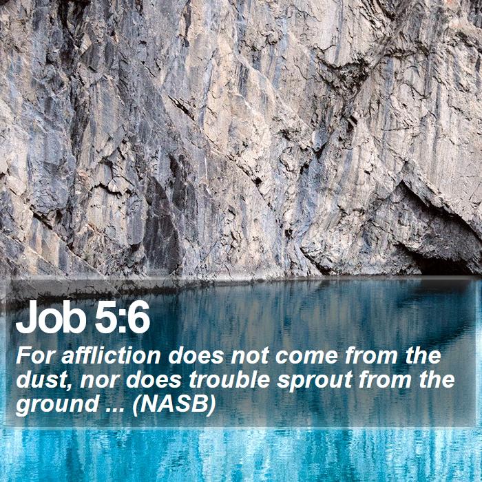 Job 5:6 - For affliction does not come from the dust, nor does trouble sprout from the ground ... (NASB)

