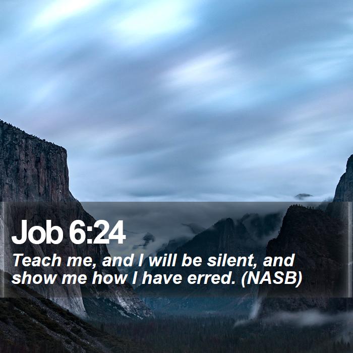 Job 6:24 - Teach me, and I will be silent, and show me how I have erred. (NASB)
