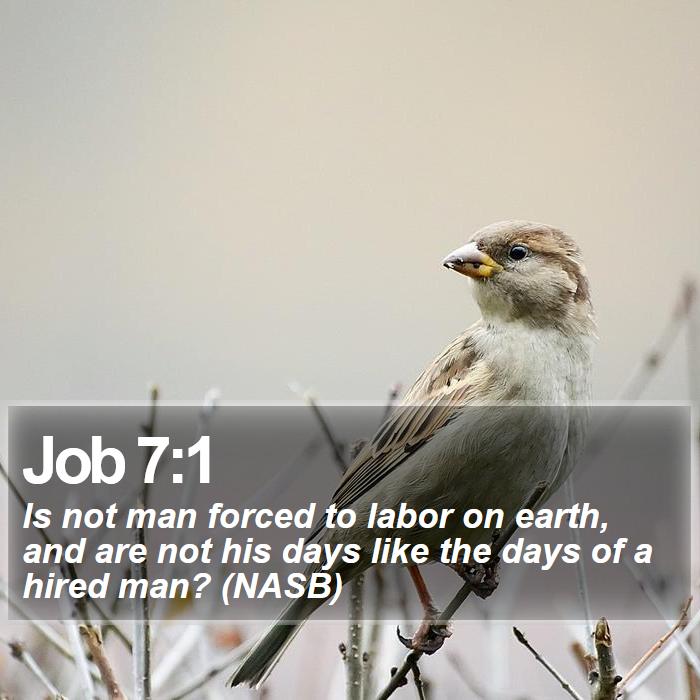 Job 7:1 - Is not man forced to labor on earth, and are not his days like the days of a hired man? (NASB)
