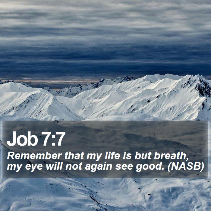 Job 7:7 - Remember that my life is but breath, my eye will not again see good. (NASB)
