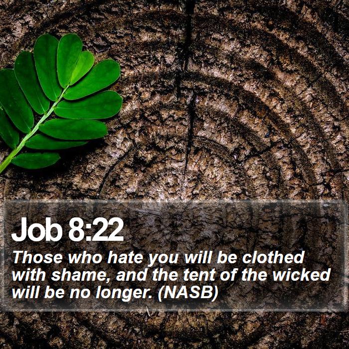 Job 8:22 - Those who hate you will be clothed with shame, and the tent of the wicked will be no longer. (NASB)
