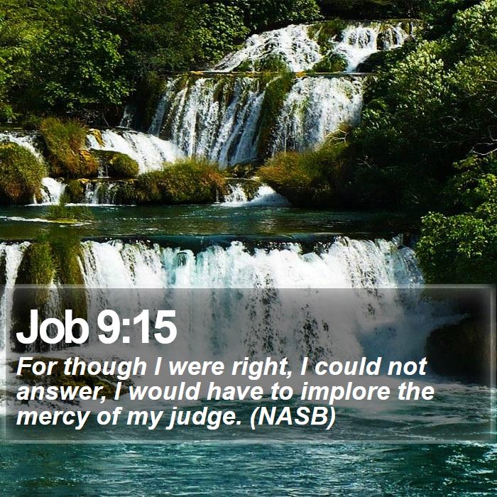 Job 9:15 - For though I were right, I could not answer, I would have to implore the mercy of my judge. (NASB)
