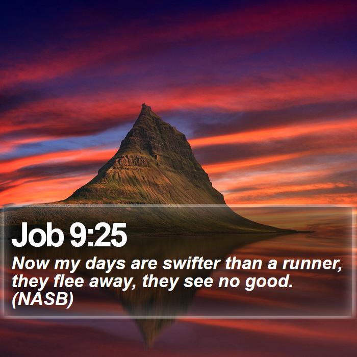 Job 9:25 - Now my days are swifter than a runner, they flee away, they see no good. (NASB)
